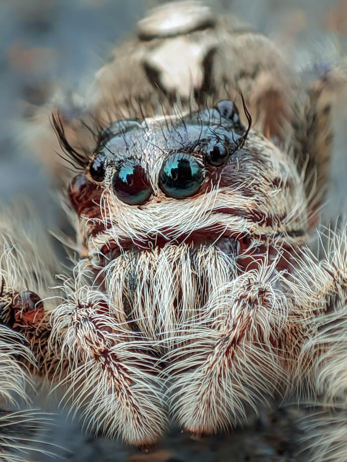 pexels photo 35447760.jpeg